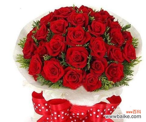 探究玫瑰花朵数的象征意义 送花节数的含义