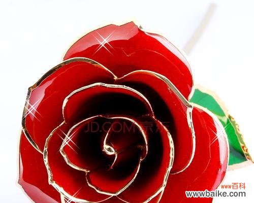 玫瑰花语大全，分享给你最真挚的情感表达 浪漫花语