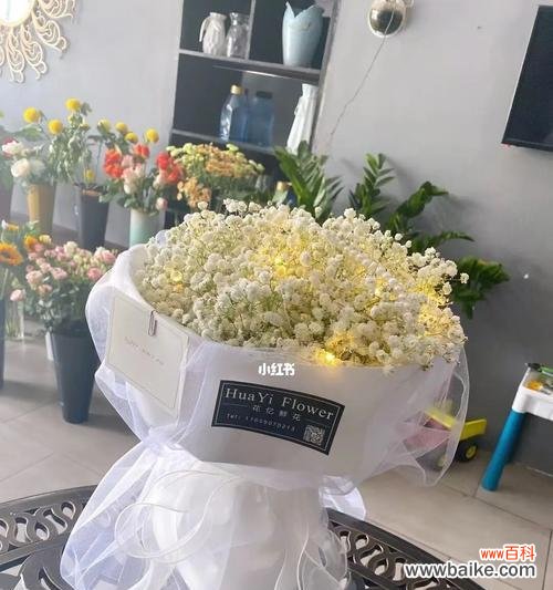 白色满天星的花语和象征意义 白色满天星的美丽与意义