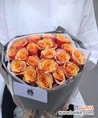 探究送黄玫瑰所蕴含的情感和意义 送黄玫瑰的含义剖析