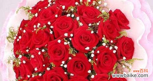 从爱情到祝福，解读不同数量玫瑰花的意义 玫瑰花数量所蕴含的含义