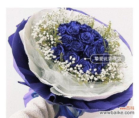 了解妖姬的语言，传递心意的新方式 52朵蓝色妖姬花语的意义及使用方法