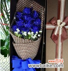 了解妖姬的语言，传递心意的新方式 52朵蓝色妖姬花语的意义及使用方法