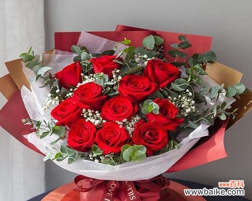 送玫瑰花的意义与含义——表达爱意