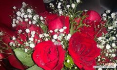 送玫瑰花的意义与含义——表达爱意