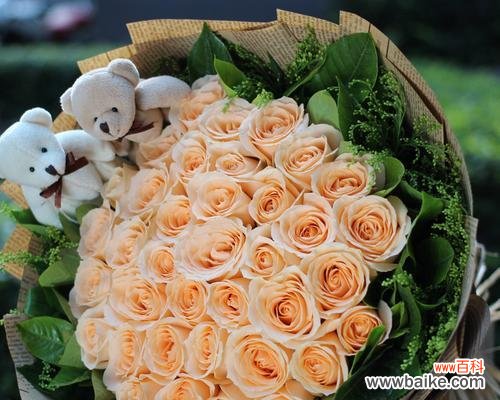 探寻香槟玫瑰传达的爱情信息 33朵香槟玫瑰花语剖析