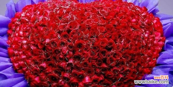 探讨不同数量的玫瑰花所代表的意义 五朵玫瑰花的含义