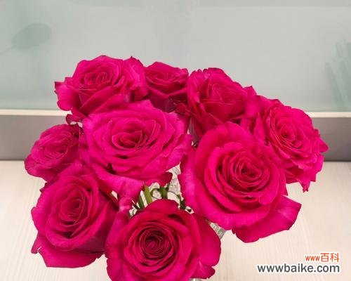 探究鲜花艺术的美妙之处 切花玫瑰的意义与技巧