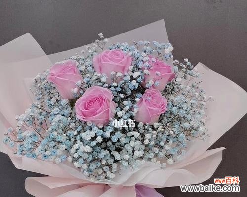 解析粉玫瑰代表的情感和价值 送女孩子粉玫瑰的意义