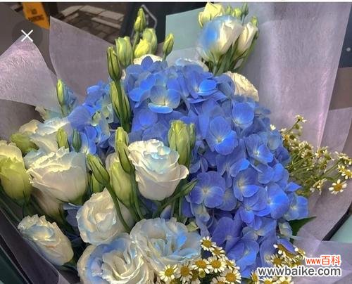 了解送蓝玫瑰的含义与意义，让你成为情人节上的浪漫王子或公主 送一支蓝玫瑰，浪漫之情深意长