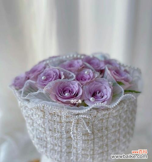 玫瑰花中的深邃世界与情感的对话 海洋之歌玫瑰花语