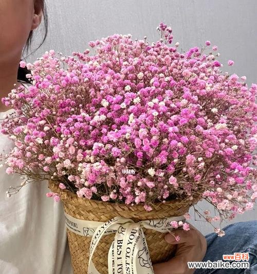 满天星之光照亮我们的心灵 满天星的花语与传说