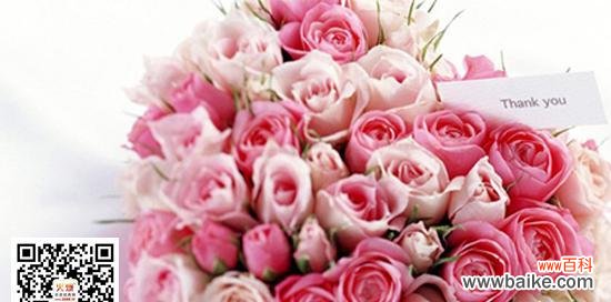 传递爱意的花朵 21朵玫瑰花语