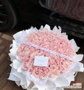 探寻粉红雪山玫瑰花的独特意义与传递之道 粉红雪山玫瑰花语的美丽与寓意