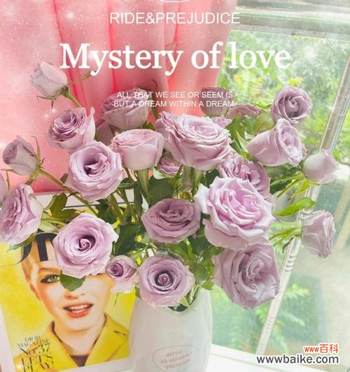 蓝狐花语的隐喻与象征 解读多头玫瑰九星蓝狐的花语之美