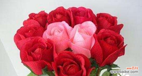 探究玫瑰花的文化意义 送玫瑰花的含义