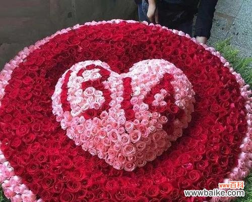 探究花语中的深意 12朵玫瑰花的含义