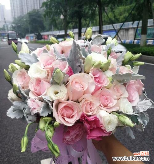 唤醒心灵的柔情 粉佳人玫瑰花语的美丽与浪漫