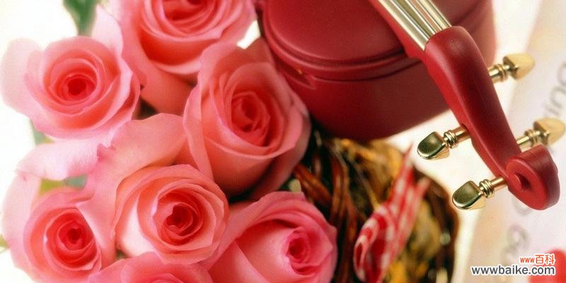 探索玫瑰花的世界 玫瑰花的品种及含义