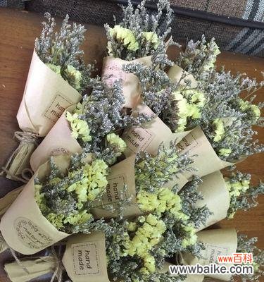 以玫瑰花和情人草探寻爱情的深层意义 花的寓意与爱情的象征