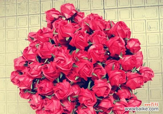 探索玫瑰花的世界 玫瑰花的品种和意义