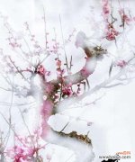 春雪纷飞 以梅花摘心，情深意重