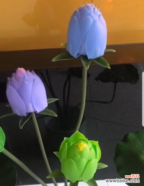 传承千年的美与吉祥 花中的象征——牡丹与荷花的寓意