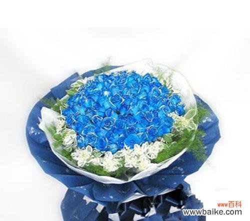 探寻蓝玫瑰的神秘语言 蓝玫瑰的象征意义