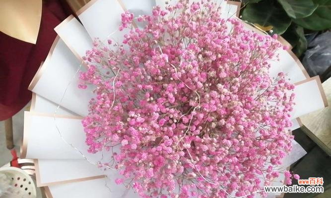 探寻不同颜色的含义 满天星的花语