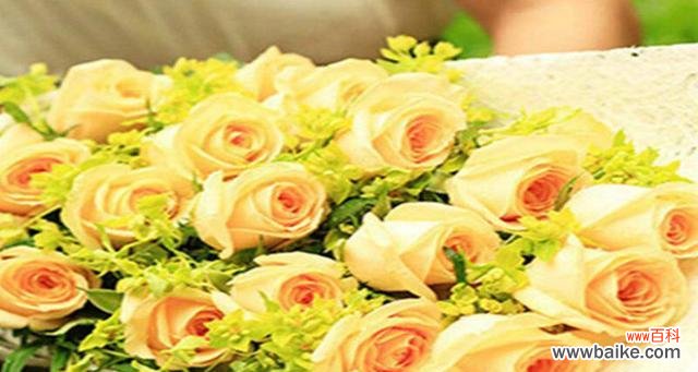 传递浪漫和感激,香槟玫瑰的意义 解读香槟玫瑰的花语