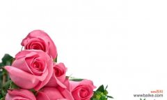 探寻玫瑰的秘密 红玫瑰与粉玫瑰花语的意义