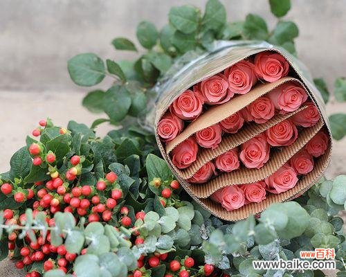 探寻玫瑰的秘密 红玫瑰与粉玫瑰花语的意义