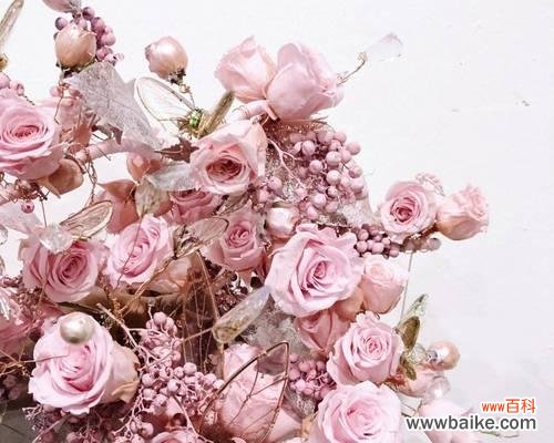 以慈悲之心，传递生命之美 慈悲的生日祝福——山樱草花语