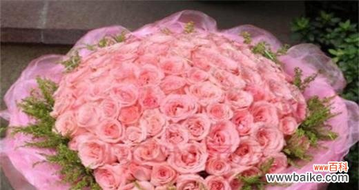 探究它的深刻含义和精神内涵 解析11朵玫瑰花语