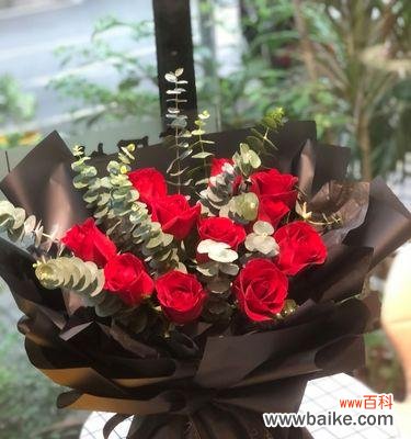 探究它的深刻含义和精神内涵 解析11朵玫瑰花语