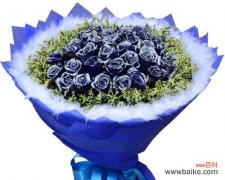 探究蓝色花海中那一抹与众不同的颜色 蓝玫瑰的花语