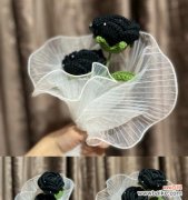 黑色、激情、神秘 浪漫之花