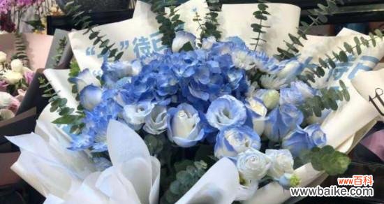 揭开碎冰蓝玫瑰背后的意义 探秘碎冰蓝玫瑰的花语