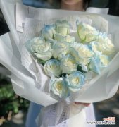 揭开碎冰蓝玫瑰背后的意义 探秘碎冰蓝玫瑰的花语