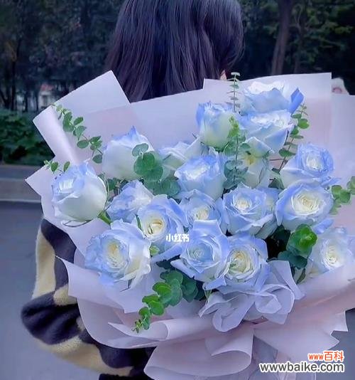 揭开碎冰蓝玫瑰背后的意义 探秘碎冰蓝玫瑰的花语