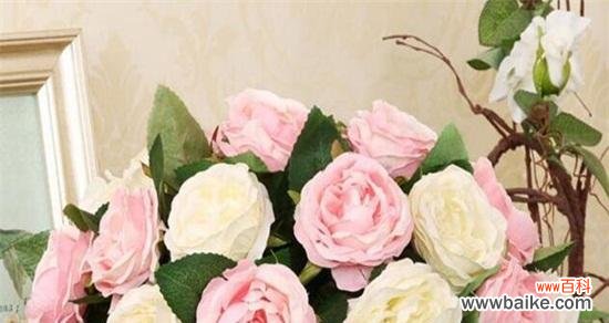 玫瑰花,爱情的象征 16朵玫瑰花的深刻寓意