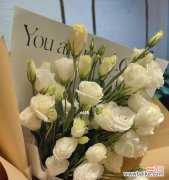 纯洁与坚韧的象征——白色桔梗花的美丽寓意 白色桔梗花的深层寓意