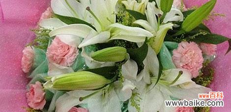 探索纯洁与祝福的象征 白色康乃馨的花语与寓意