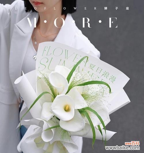 花开如雪 白色马蹄莲，清新花语