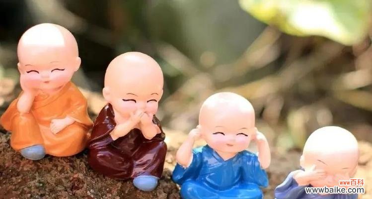 传递快乐的花朵,花语解读和养殖技巧 笑靥花语——用开朗的笑脸迎接人生