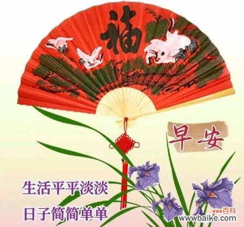 传递快乐的花朵,花语解读和养殖技巧 笑靥花语——用开朗的笑脸迎接人生