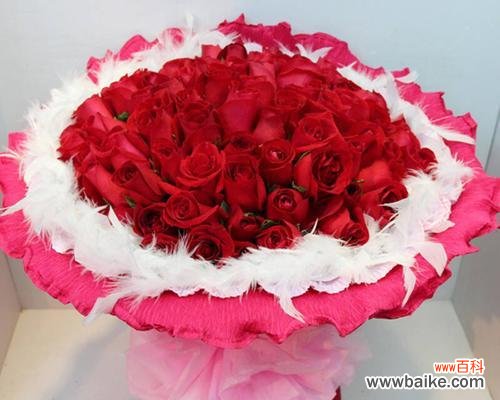 传递爱意的花千万，红玫瑰最真情 十一朵红玫瑰花的花语