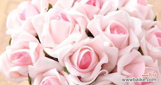 探寻爱情的真谛,从花朵开始 十一朵玫瑰的花语与传说