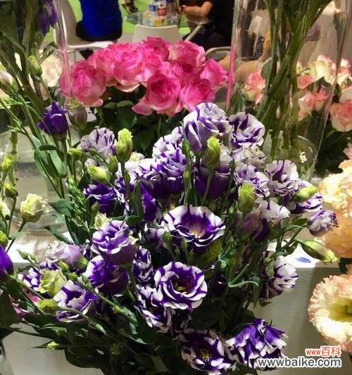 洋桔梗花语的含义及象征意义 洋桔梗花语