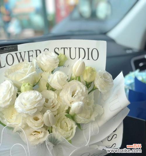 花开寄托希望 白色洋桔梗的寓意与象征意义